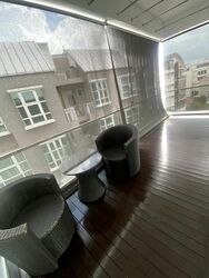 Palm Oasis (D15), Apartment #439957201